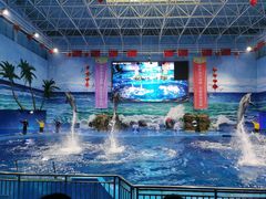 -多彩贵州城极地海洋世界