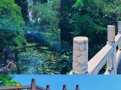 -桂湖森林公园