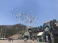 门面-大连森林动物园