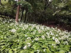 -元大都城垣遗址公园