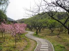 -白马涧龙池景区