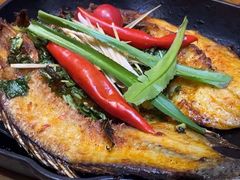 -云海肴·汽锅鸡·云南菜(天津国金汇店)