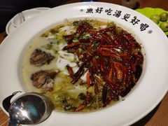 -江渔儿酸菜鱼(东二环泰禾店)
