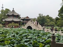 -莲池书院博物馆