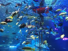 -沈阳海洋探索中心