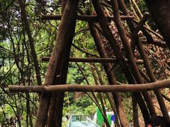 -龙湾潭国家森林公园
