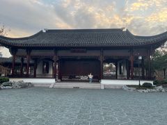 -上海滨江森林公园