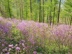 -本溪老边沟风景区