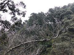 -桂林资江天门山风景区