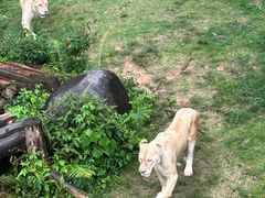 -泉州海丝野生动物世界