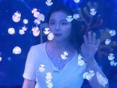 -南昌融创海世界