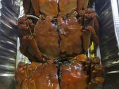 红酒醉熟蟹-马头巷·食景园(苏州总店)
