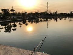 -会江钓鱼钓虾烧烤场