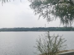 -长春市南湖公园