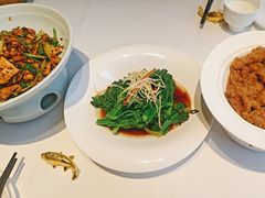 -阿五黄河大鲤鱼(纬三路店)