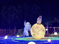 -金卉庄园