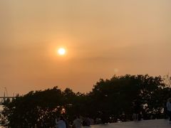 -宝安西湾红树林湿地公园