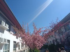 -寿山福海养老服务中心(石景山院)