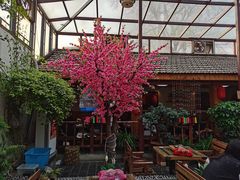 -丽江庭院之爱在路上(西单店)