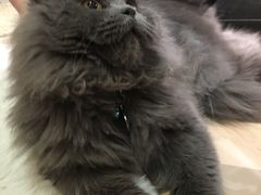 -小时光咖啡馆(开森度假森林店)