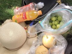 -枫香湖儿童公园