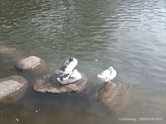 -莲湖公园