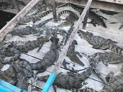 -Neary Khmer Restaurant