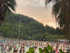 -重庆海昌加勒比海水世界