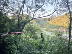 -芦仙山景区-飞越丛林探险乐园