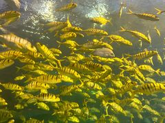 -太平洋海底世界