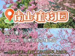 -南山植物园