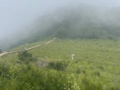 -白草畔自然风景区