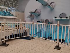 -广西体育中心-游泳馆