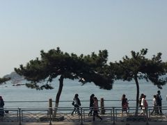 -老味道民宿(栈桥店)