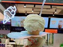 -野人先生现做冰淇淋(西安赛格店)