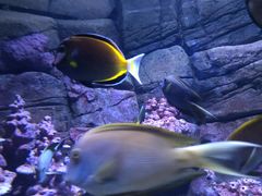 -成都浩海立方海洋公园