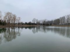 -东郊湿地公园