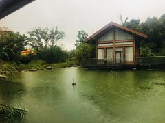 -杭州开元森泊度假乐园