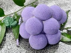 -王府茶楼茶宴·创意菜(朝阳公园店)