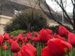 -杭州花家山庄