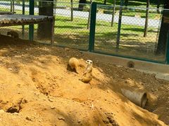 -秦皇岛野生动物园