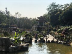 -深圳仙湖植物园