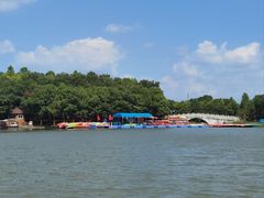 -上海海湾国家森林公园