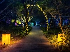 -莲花池公园