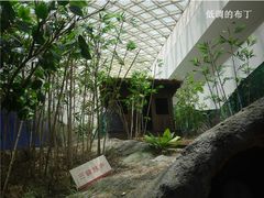 中国湿地博物馆-中国湿地博物馆
