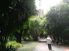 -晓港公园