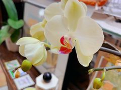 -ABCD咖啡屋(妇幼店)