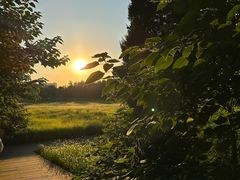 -汉长安城未央宫国家考古遗址公园