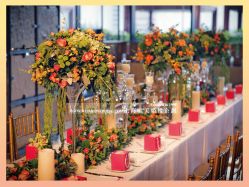 -上海浦东喜来登由由大酒店·宴会厅