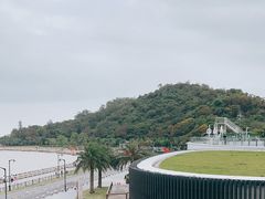 -野狸岛